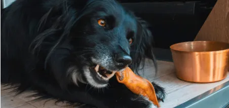 Lucy Savigny NATUROPATHE