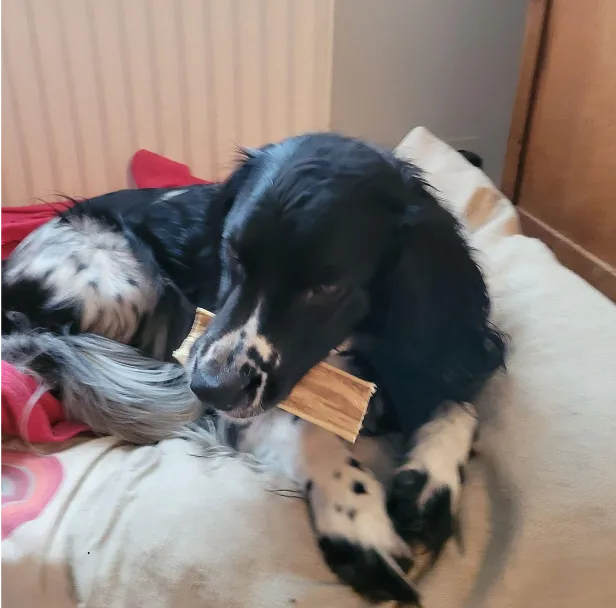 Lucy Savigny NATUROPATHE