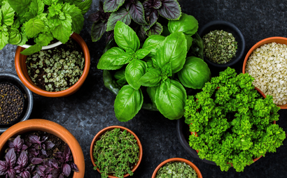 Lucy Savigny NATUROPATHE