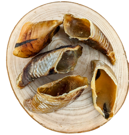 Lucy Savigny NATUROPATHE