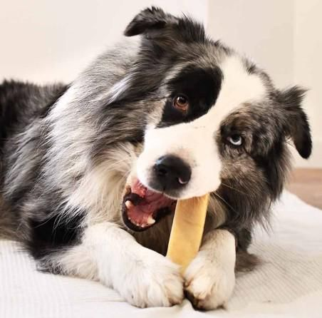 Lucy Savigny NATUROPATHE