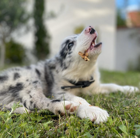 Lucy Savigny NATUROPATHE