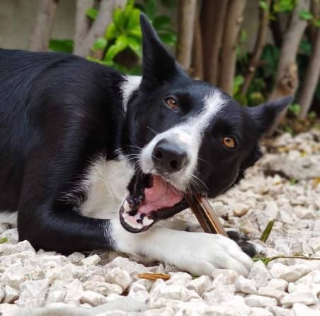 Lucy Savigny NATUROPATHE