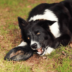 Lucy Savigny NATUROPATHE