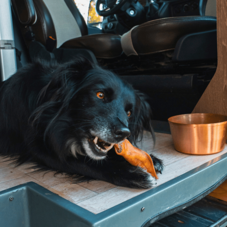 Lucy Savigny NATUROPATHE