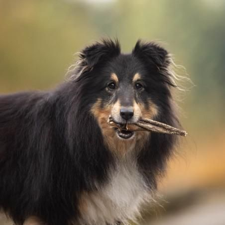 Lucy Savigny NATUROPATHE