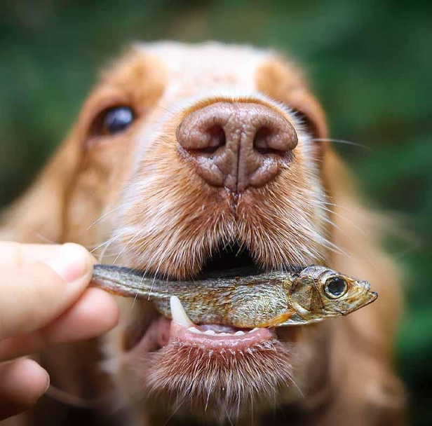 Lucy Savigny NATUROPATHE