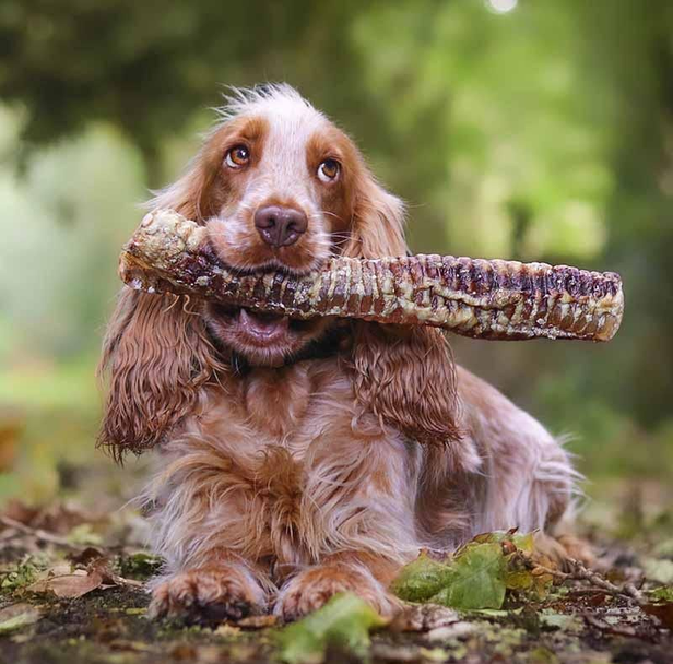 Lucy Savigny NATUROPATHE