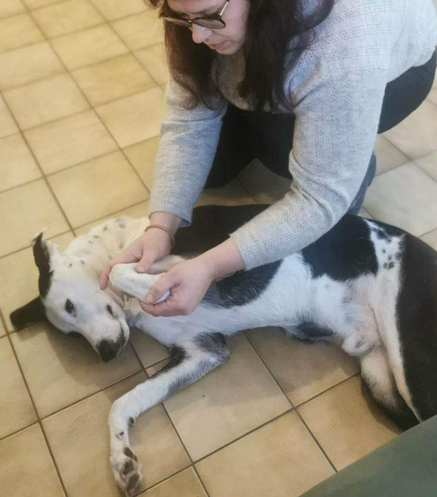 Lucy Savigny NATUROPATHE