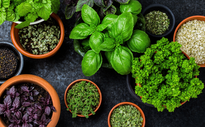 Lucy Savigny NATUROPATHE