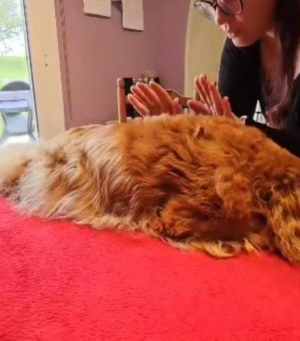 Lucy Savigny NATUROPATHE