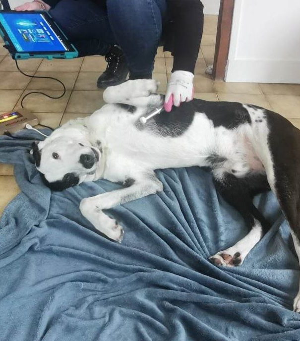 Lucy Savigny NATUROPATHE