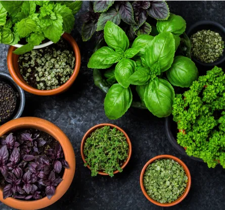 Lucy Savigny NATUROPATHE