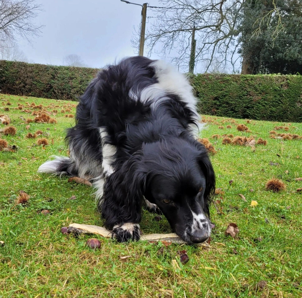 Lucy Savigny NATUROPATHE