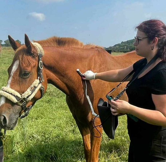 Lucy Savigny NATUROPATHE