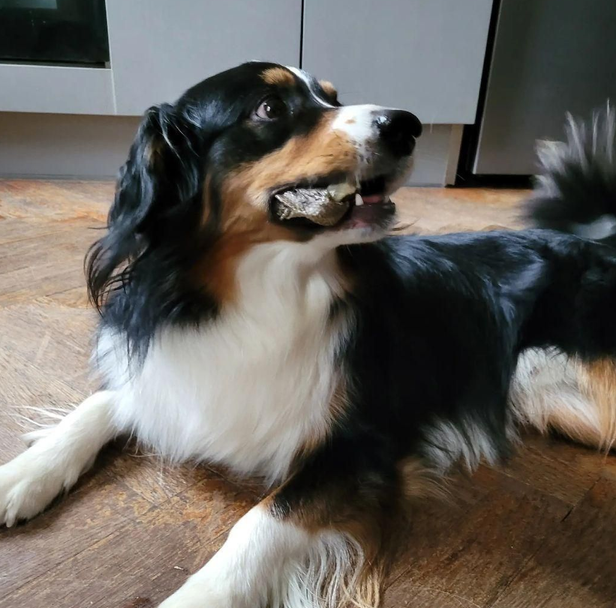 Lucy Savigny NATUROPATHE