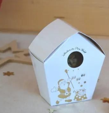 Lucy Savigny NATUROPATHE