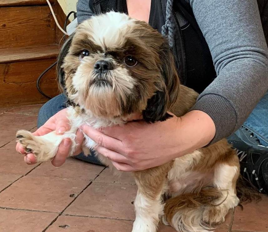 Lucy Savigny NATUROPATHE